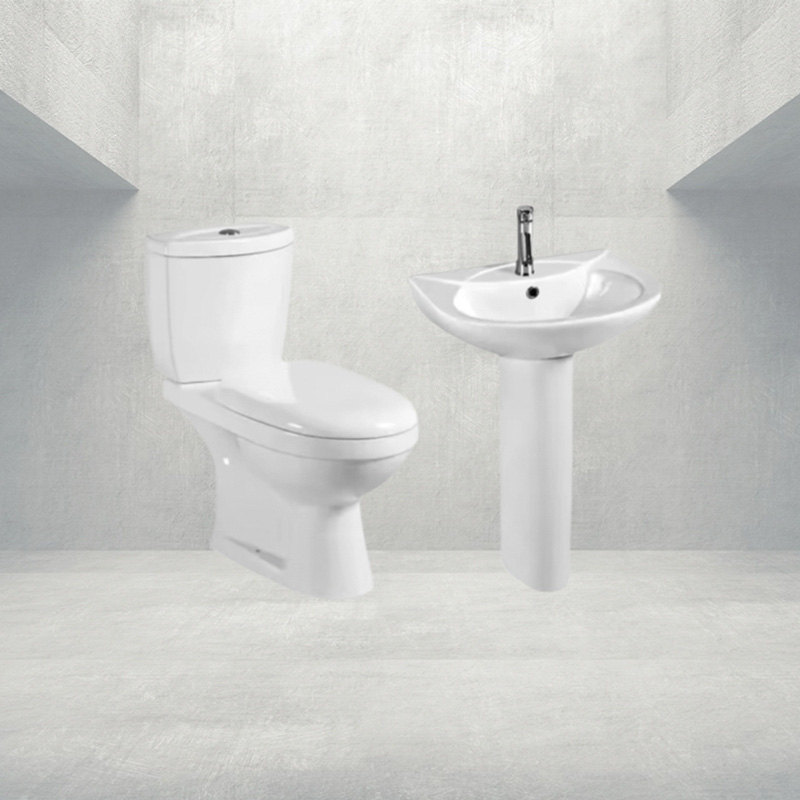 CT115 ଶ toilet ଚାଳୟ |