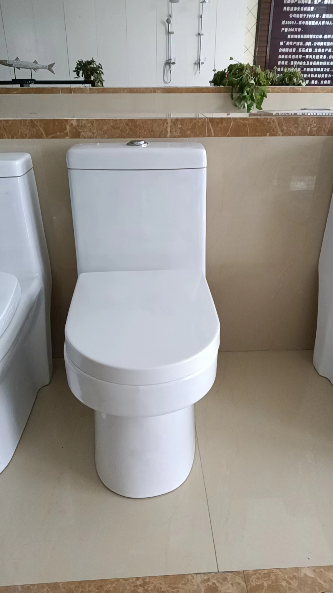 CT319 ଶ toilet ଚାଳୟ (4)