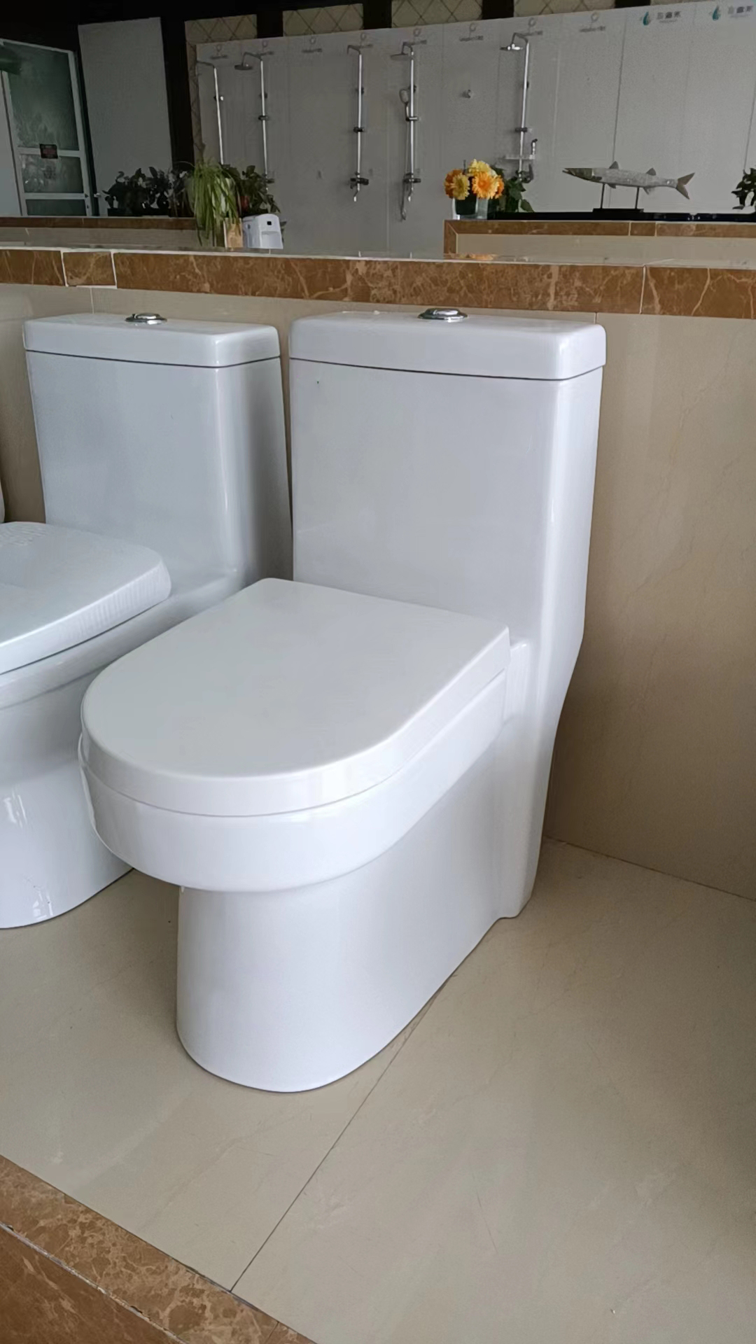 CT319 शौचालय (6)