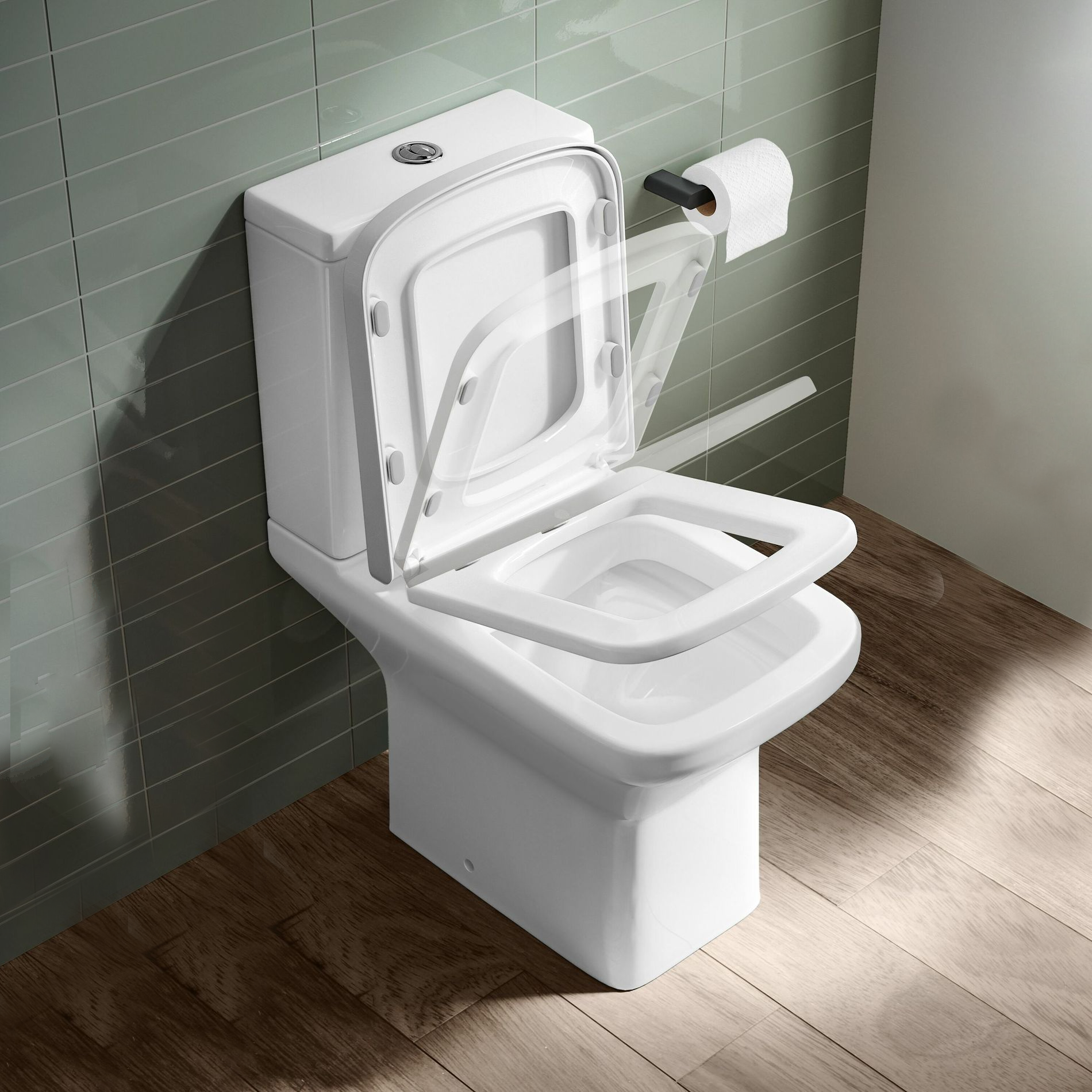 CT1108 (5)toilet